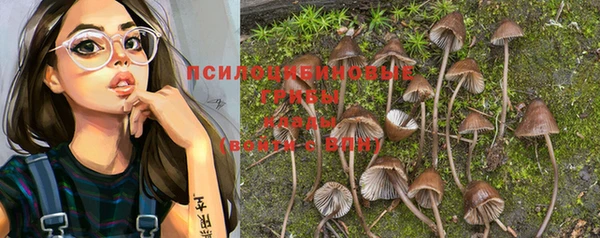 PSILOCYBIN Беломорск