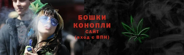 PSILOCYBIN Беломорск