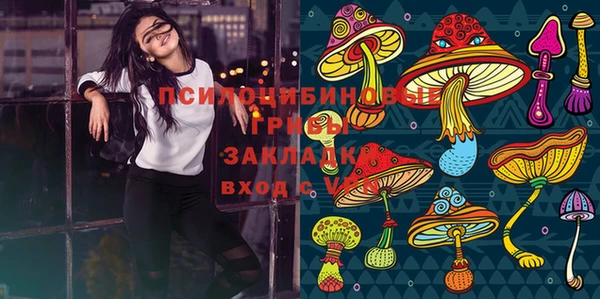 твердый Белокуриха
