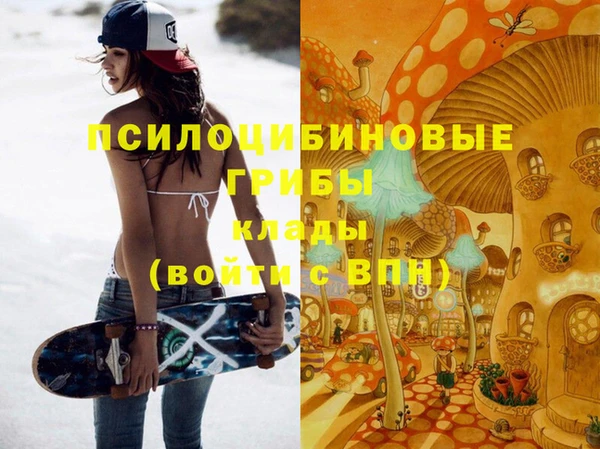 твердый Белокуриха