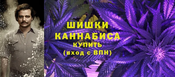 твердый Белокуриха