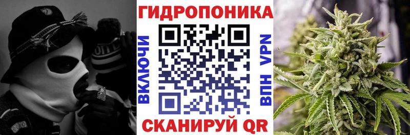 где можно купить наркотик  Верхотурье  Конопля тримм 